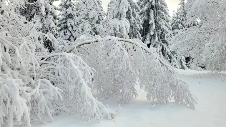 Luftmassengrenze: So viel Schnee fällt in Hessen